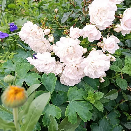 A Place To Be - Ruhelage Mit Gratis Parkplatz Apartmán