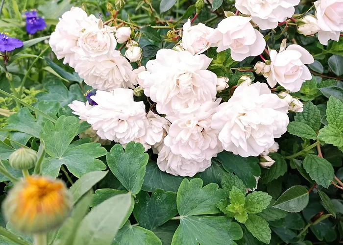 A Place To Be - Ruhelage Mit Gratis Parkplatz Apartmán