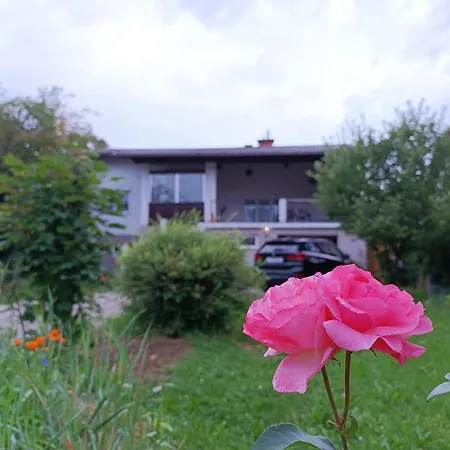 A Place To Be - Ruhelage Mit Gratis Parkplatz Apartment