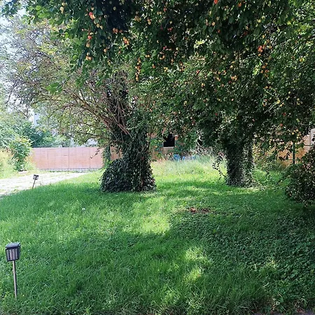 A Place To Be - Ruhelage Mit Gratis Parkplatz * Štýrský Hradec