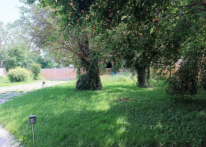 A Place To Be - Ruhelage Mit Gratis Parkplatz * 格拉茨